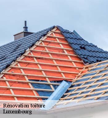 Travaux de rénovation de toiture dans le LU, pourquoi les confier à Entreprise Bauer