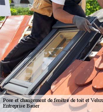  Changement de velux dans le LU, procédez à une confrontation des devis