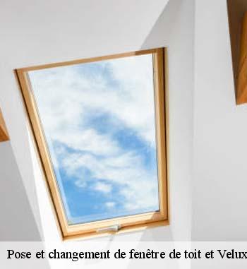 Velux en PVC, faites appel à Entreprise Bauer pour une nouvelle pose ou pour un changement