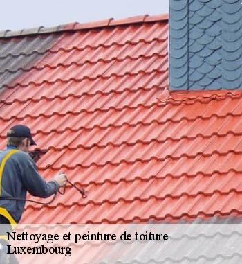 Quels intérêts de poser une peinture sur une toiture ?