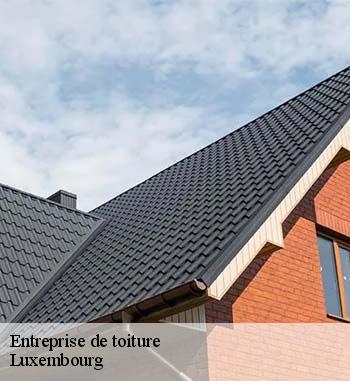 11.	Entreprise de toit Entreprise Bauer dans le LU : la référence pour la réparation intégrale de votre couverture 