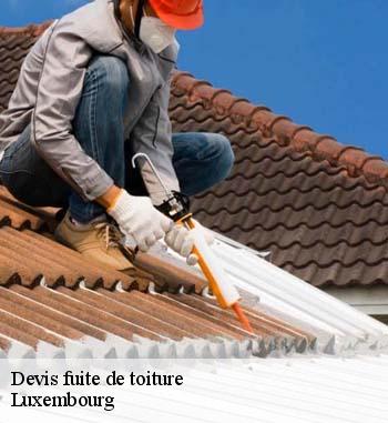 Entreprise Bauer : le couvreur qui peut effectuer les travaux d'urgence pour les fuites de toiture