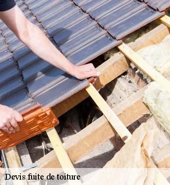 À qui peut-on confier les travaux de réparation des infiltrations sur les toits des maisons dans le LU?