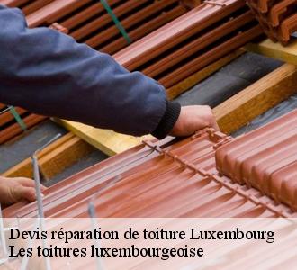 La réparation des faîtages par Les toitures luxembourgeoise