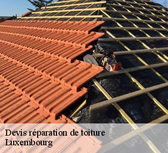 Les toitures luxembourgeoise : un habitué des travaux de réparation des toits et ses environs