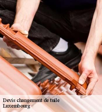 8. Profiter de tarifs compétitifs en matière de changement de tuiles dans le LU : l’entreprise de toit Entreprise Bauer est celle à contacter