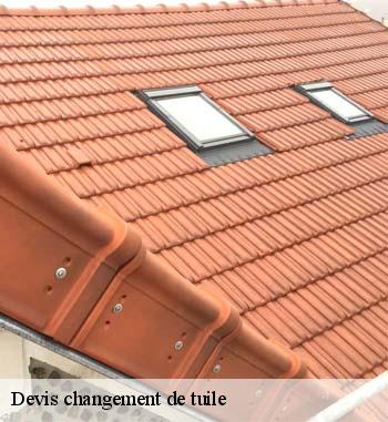 1. Travaux de changement de tuiles dans le LU : l’artisan Entreprise Bauer vous offre votre devis