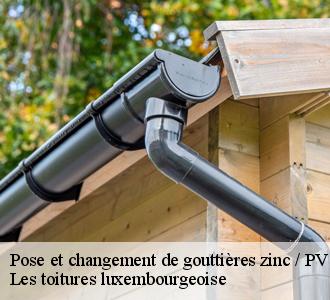 Les toitures luxembourgeoise , un professionnel en zinguerie à votre service pour un changement de gouttières
