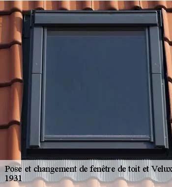 ose de velux, ce qui est à retenir 