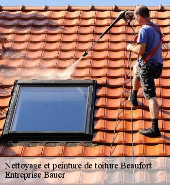 Nettoyage et une pose de peinture sur toiture, Entreprise Bauer est un professionnel à contacter à Beaufort