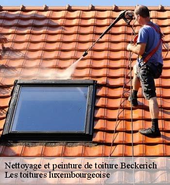 Nettoyage et pose de peinture sur toiture à Beckerich, sollicitez les services de Entreprise Bauer