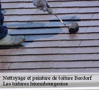 Faites appel à Les toitures luxembourgeoise pour un nettoyage et une pose de peinture sur toiture à Berdorf dans le