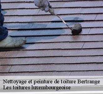 Des tarifs pas chers pour une pose de peintre sur toiture avec Les toitures luxembourgeoise 