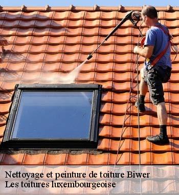 Pour un nettoyage et pose de peinture sur toiture, adressez-vous à Les toitures luxembourgeoise