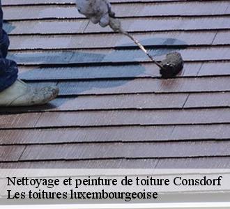 Adressez-vous à Les toitures luxembourgeoise  pour une application de peinture hydrofuge sur toiture à Consdorf
