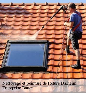 Nettoyage et pose de peinture sur toiture à Dalheim, sollicitez les services de Entreprise Bauer