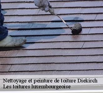 Quels intérêts de poser une peinture sur une toiture ?