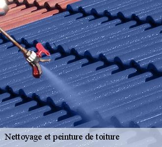 Demandez le devis de votre projet d’application de peinture sur toiture à Les toitures luxembourgeoise à Diekirch