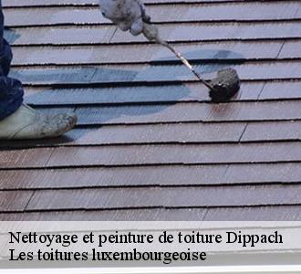 Quels intérêts de procéder à un nettoyage de toiture