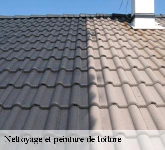 Pour un nettoyage de toiture, fiez-vous à Les toitures luxembourgeoise