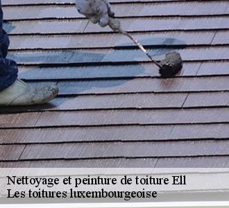Pour un nettoyage et pose de peinture sur toiture, adressez-vous à Les toitures luxembourgeoise 