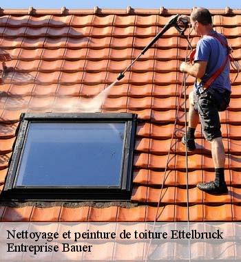 Le nettoyage, un préalable avant une pose de peinture sur toiture