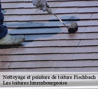 Adressez-vous à Les toitures luxembourgeoise pour une application de peinture hydrofuge sur toiture à Fischbach