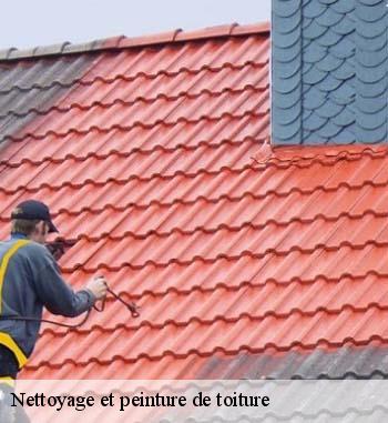 Le nettoyage, un préalable avant une pose de peinture sur toiture