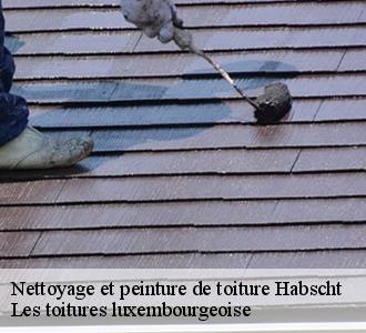 Nettoyage et pose de peinture sur toiture à Habscht, sollicitez les services de Les toitures luxembourgeoise 