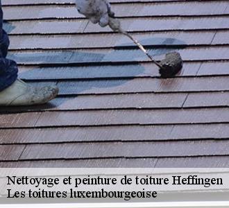 Pose de peinture sur une toiture à tarif pas chers, appelez Les toitures luxembourgeoise