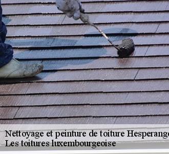 Un nettoyage de toiture pour la prévention des mousses, fiez-vous à Les toitures luxembourgeoise  