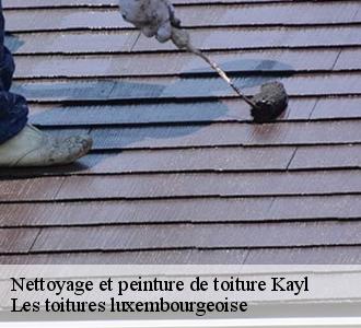 Un nettoyage de toiture pour la prévention des mousses, fiez-vous à Les toitures luxembourgeoise  