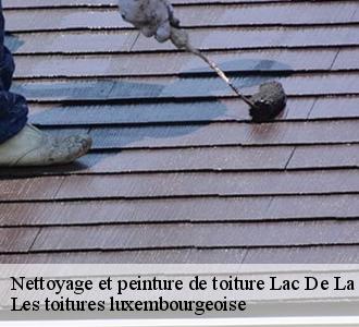 Un nettoyage de toiture pour la prévention des mousses, fiez-vous à Les toitures luxembourgeoise  