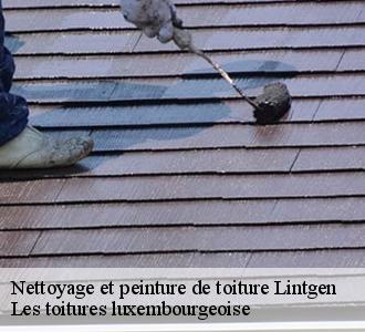 Pour un nettoyage et pose de peinture sur toiture, adressez-vous à Les toitures luxembourgeoise 