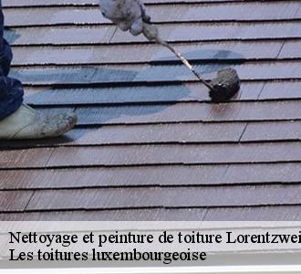 Un nettoyage de toiture pour la prévention des mousses, fiez-vous à Les toitures luxembourgeoise