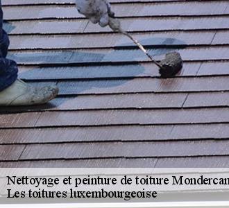 Pour un nettoyage de toiture, fiez-vous à Les toitures luxembourgeoise   