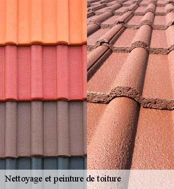 Une application de peinture pour éviter la rénovation de toiture à Préizerdaul