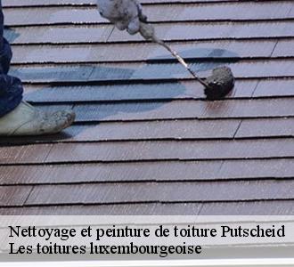 Nettoyage et une pose de peinture sur toiture, Les toitures luxembourgeoise  est un professionnel à contacter à Putscheid