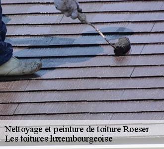 Le nettoyage, un préalable avant une pose de peinture sur toiture