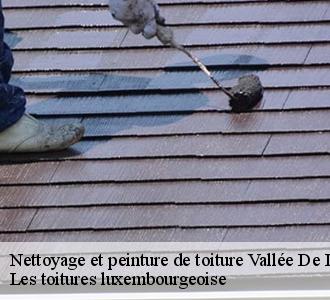 Un nettoyage de toiture pour la prévention des mousses, fiez-vous à Les toitures luxembourgeoise  