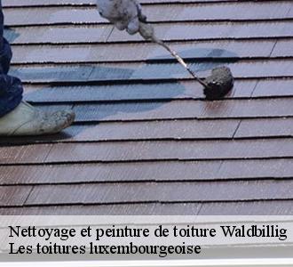 Nettoyage et pose de peinture sur toiture à Waldbillig, sollicitez les services de Les toitures luxembourgeoise