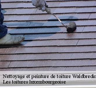 À Waldbredimus, la référence est Les toitures luxembourgeoise en pose de peinture sur toiture