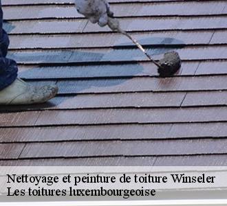 À Winseler, la référence est Les toitures luxembourgeoise  en pose de peinture sur toiture