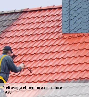 Fiez-vous à l’expertise de Entreprise Bauer pour un nettoyage et une pose de peinture sur votre toiture à Bascharage, dans le 4959 