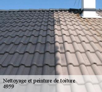 Avec l’entreprise de Les toitures luxembourgeoise , les prix de nettoyage et de pose de peinture sont les plus abordables à Bascharage