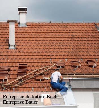 3.	Entreprise de toiture Entreprise Bauer à Bech : la solution pour un changement de tuile pas cher