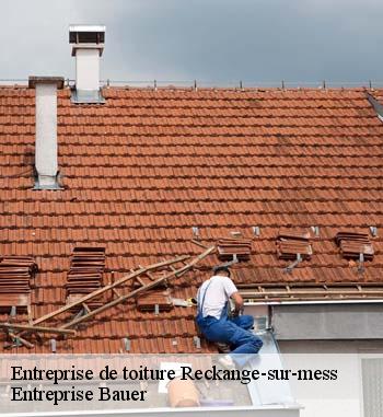 6.	Entreprise pour refaire sa toiture : Entreprise Bauer se positionne comme la première dans tout Entreprise Bauer