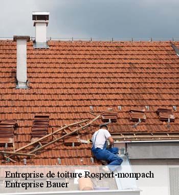 7.	Pourquoi choisir de s’adresser à l’entreprise Entreprise Bauer à Rosport-mompach pour refaire sa toiture plate ? 