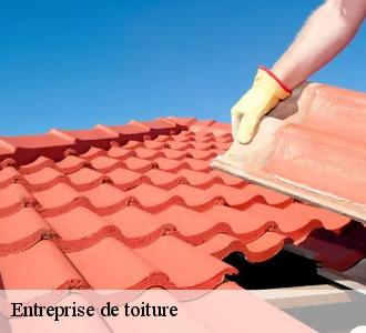 12.	Remplacement de tuiles de rives : les prix de l’entreprise Les toitures luxembourgeoise  restent les moins chers dans le