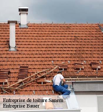 11.	Entreprise de toit Entreprise Bauer à Sanem : la référence pour la réparation intégrale de votre couverture 